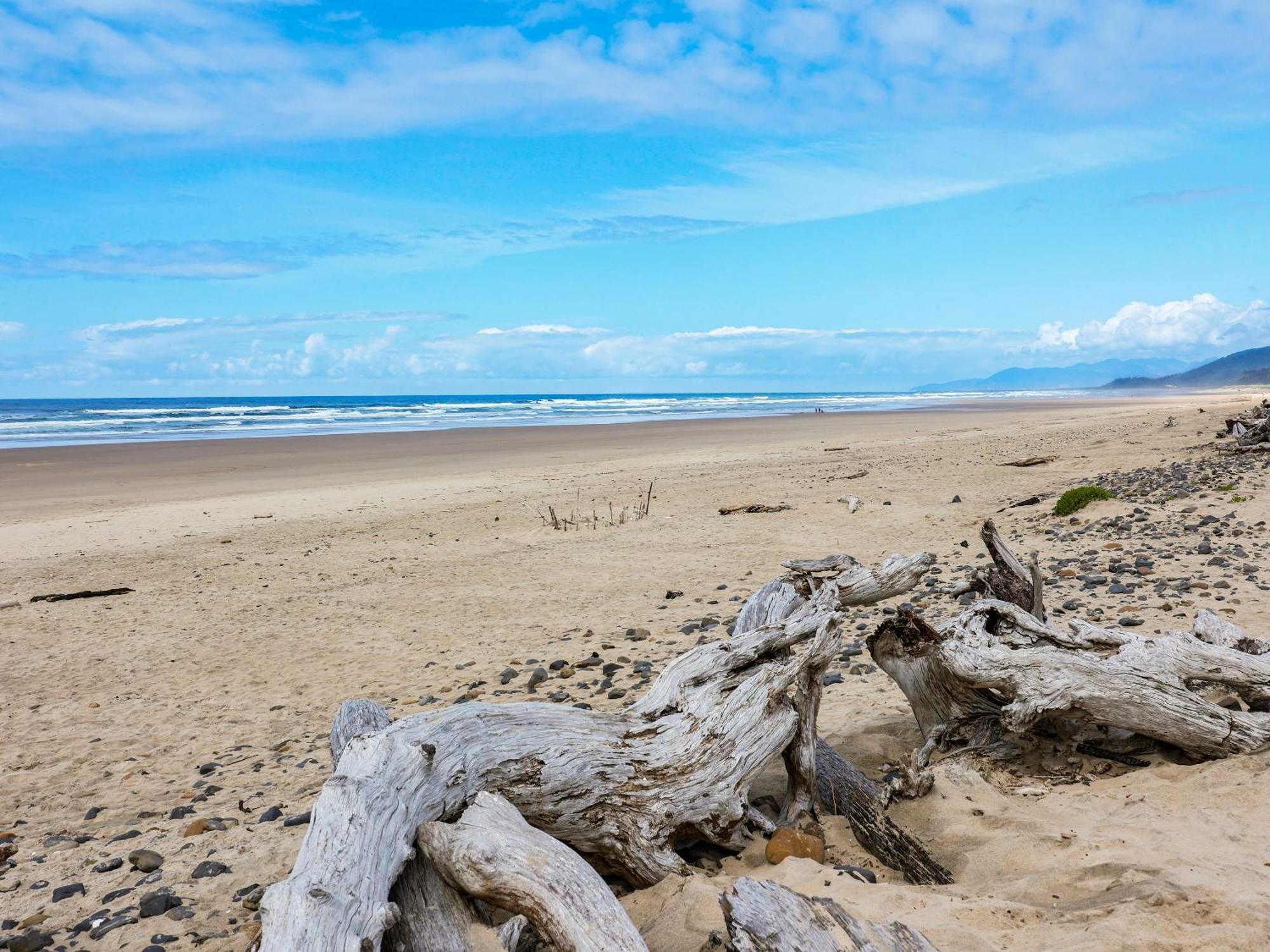 Woods Waves: Luxury Coast Cabin King Beds Pets Тілламук Екстер'єр фото